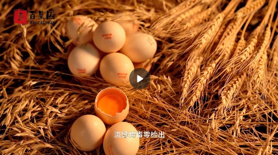 &#20048;&#40060;&#22312;&#32447;&#45;&#20048;&#40060;&#22312;&#32447;&#40;&#20013;&#22269;&#41;